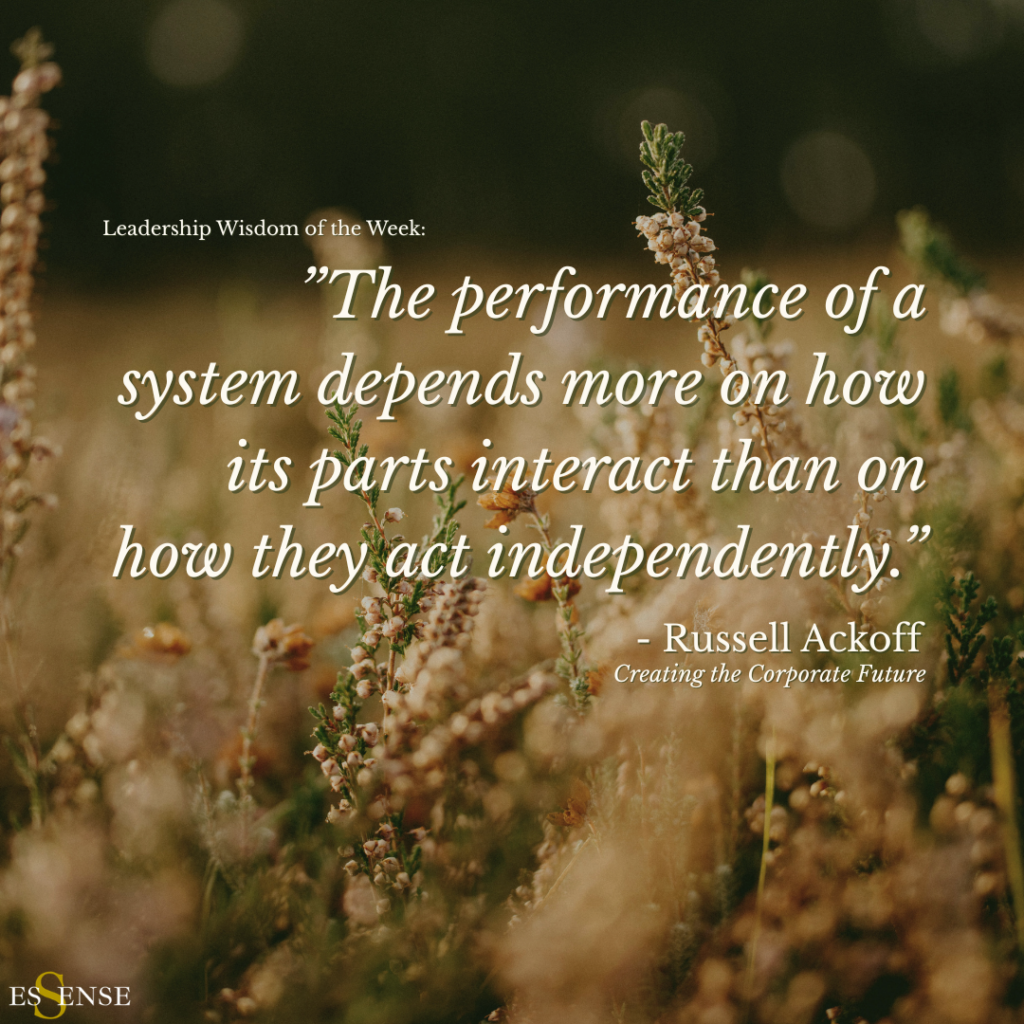 Essense Leadership Wisdom of the Week_Ackoff